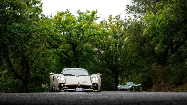 What are the key benefits of pet microchipping in the UK?